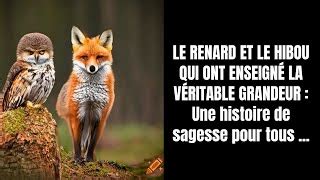  Le Renard et le Hibou qui Parlent! Un Conte Égyptien Médiéval Sur la Confiance et le Désir.